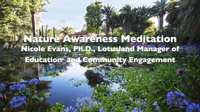 Nature Awareness Meditation