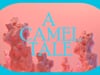 A Cammmel Tale