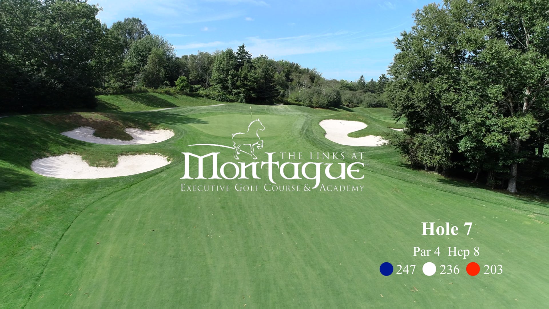 Montague #7