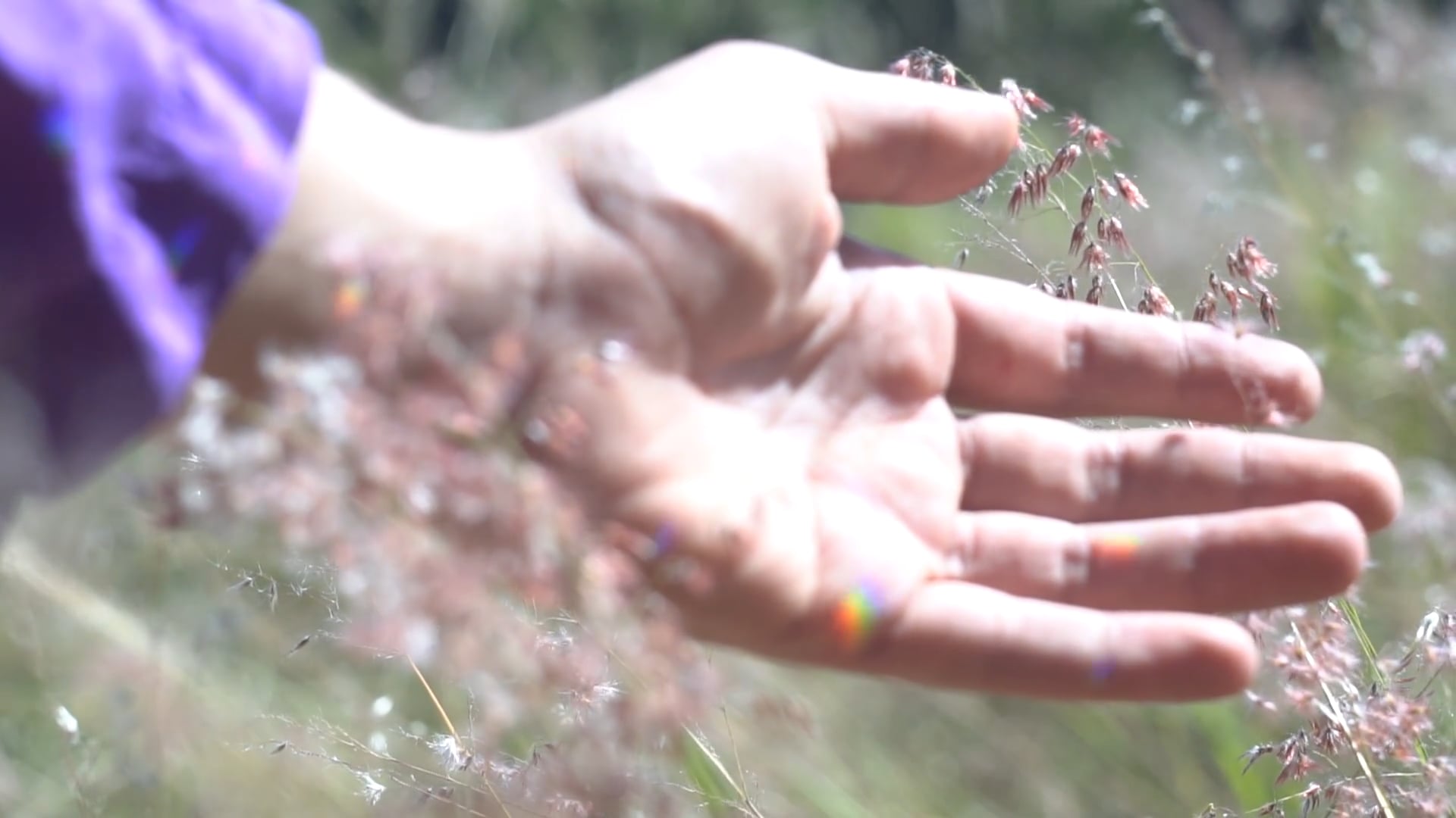 desperto ao alvorecer e não paro de pensarte; se respiro não piro
