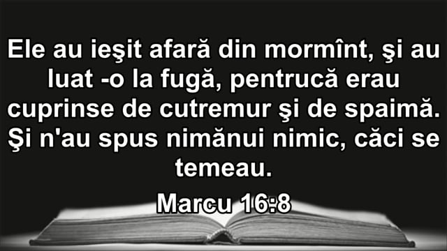 19 April 2020 AM