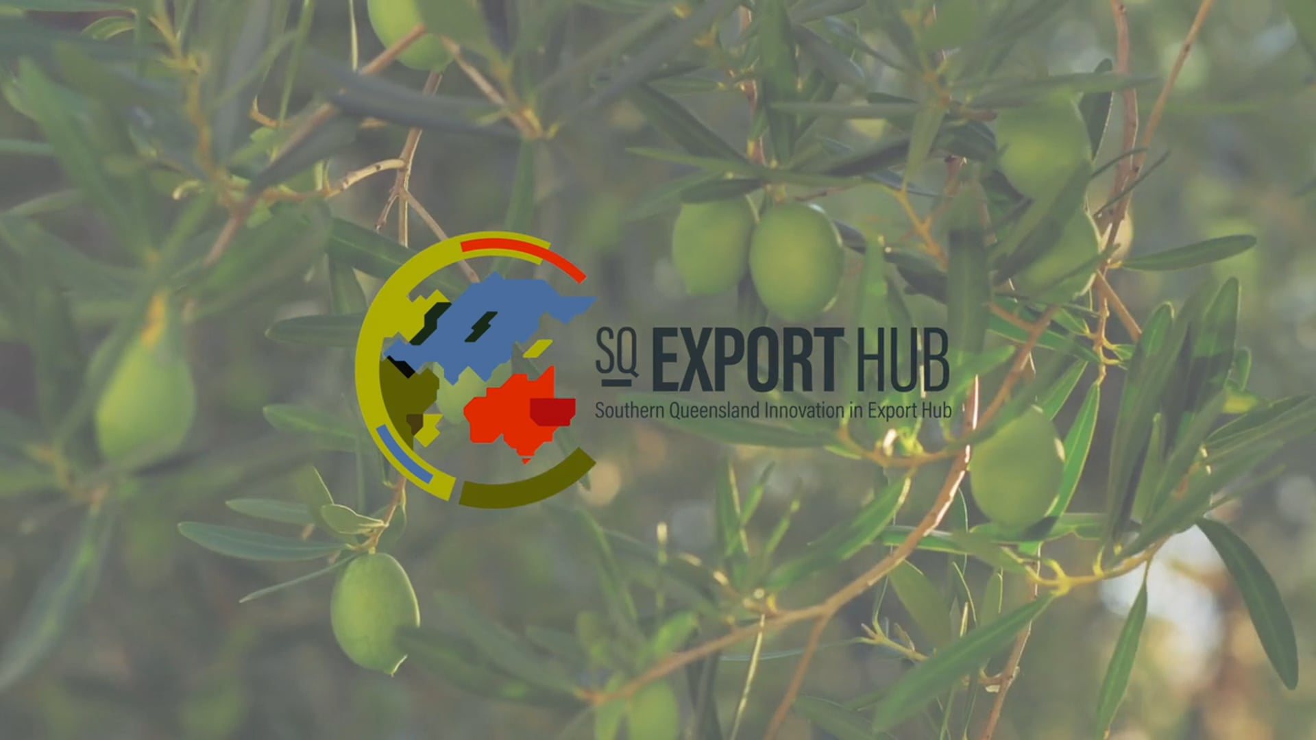 SQ Export Hub