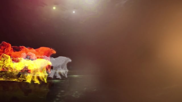 Polmat Logo Animation