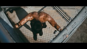 Freeletics — Dare To Be Free