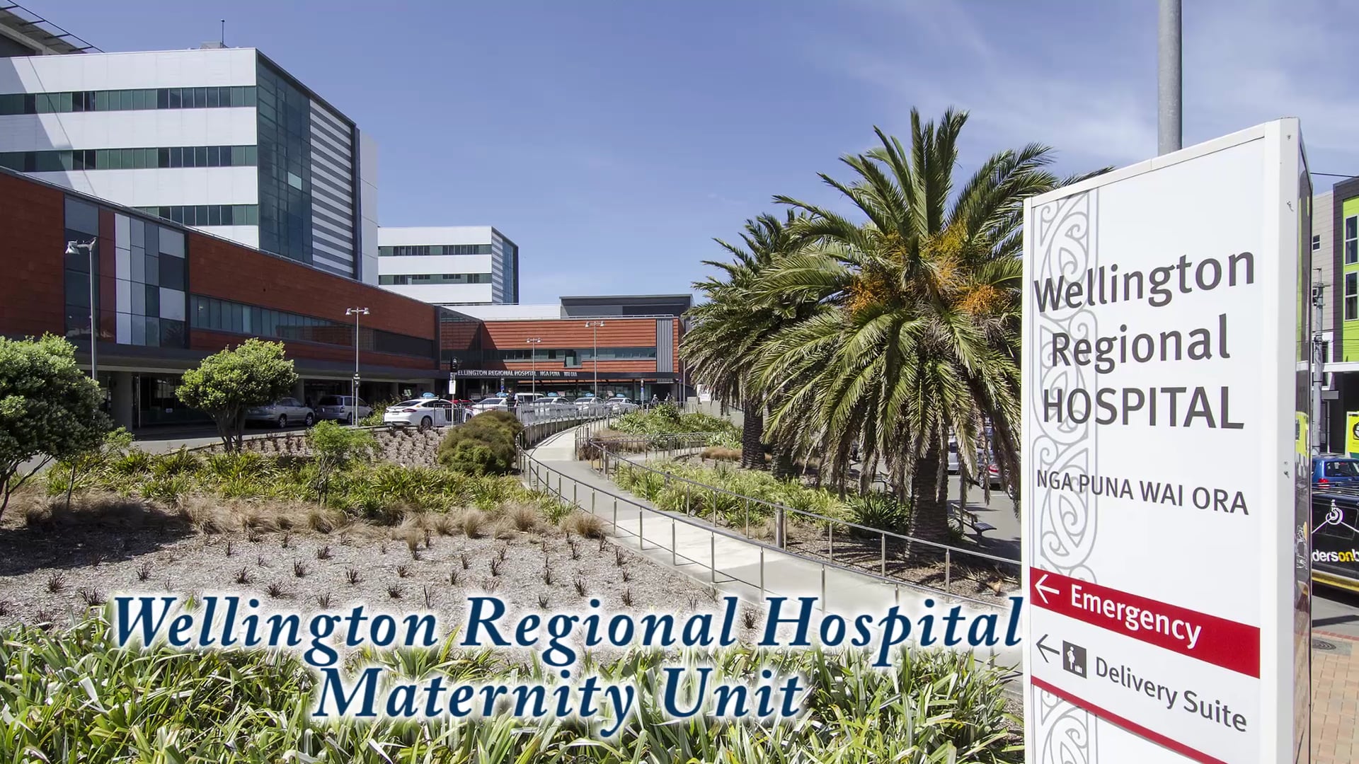 Wellington Regional Hospital Delivery Suite virtual tour on Vimeo