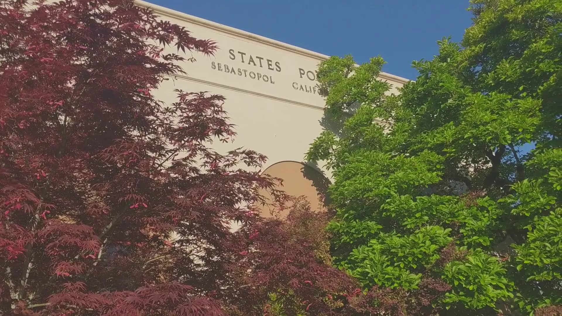 What's Open Sebastopol Sebastopol Post Office on Vimeo