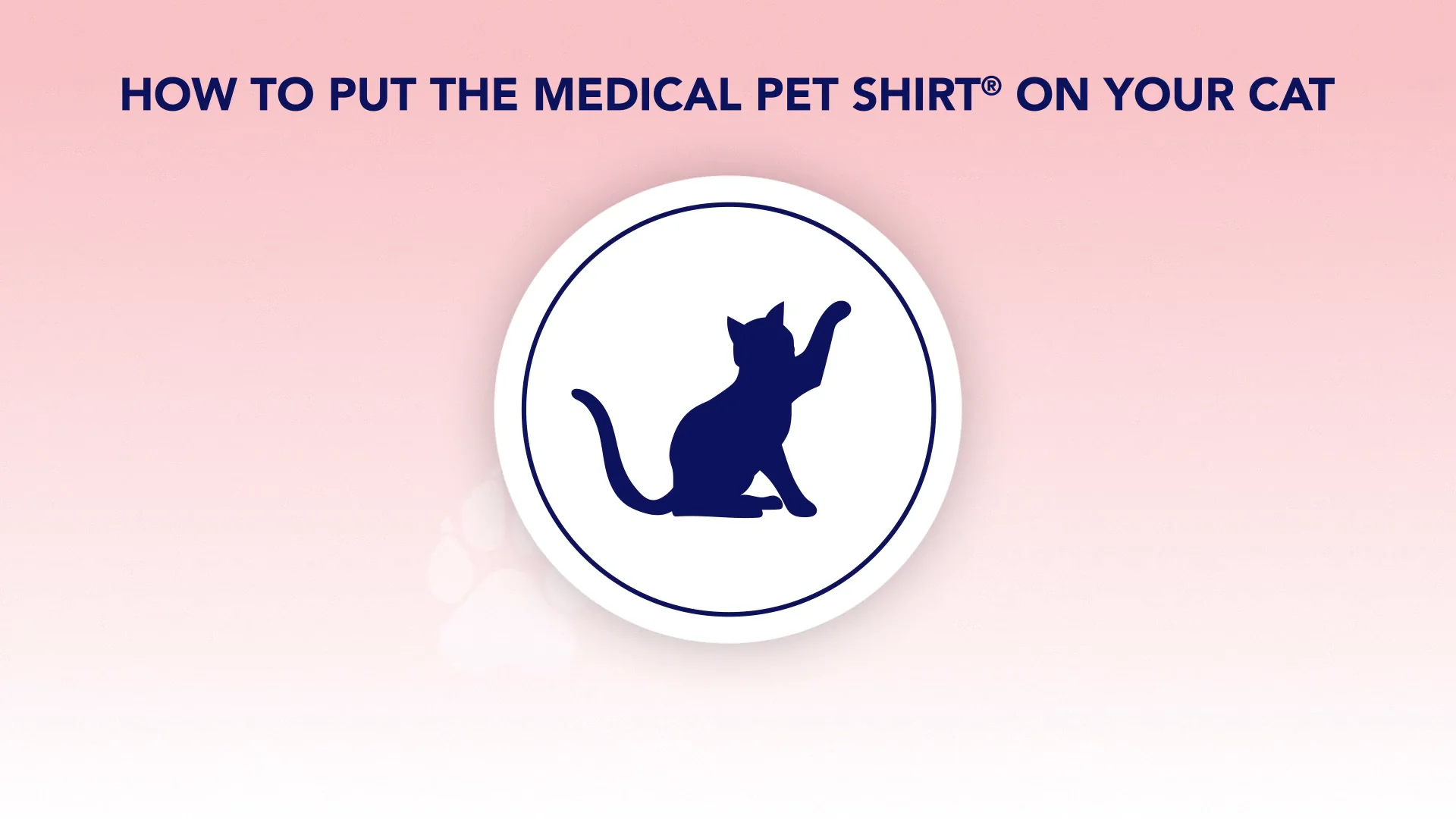 Medical pet shirt clearance cat