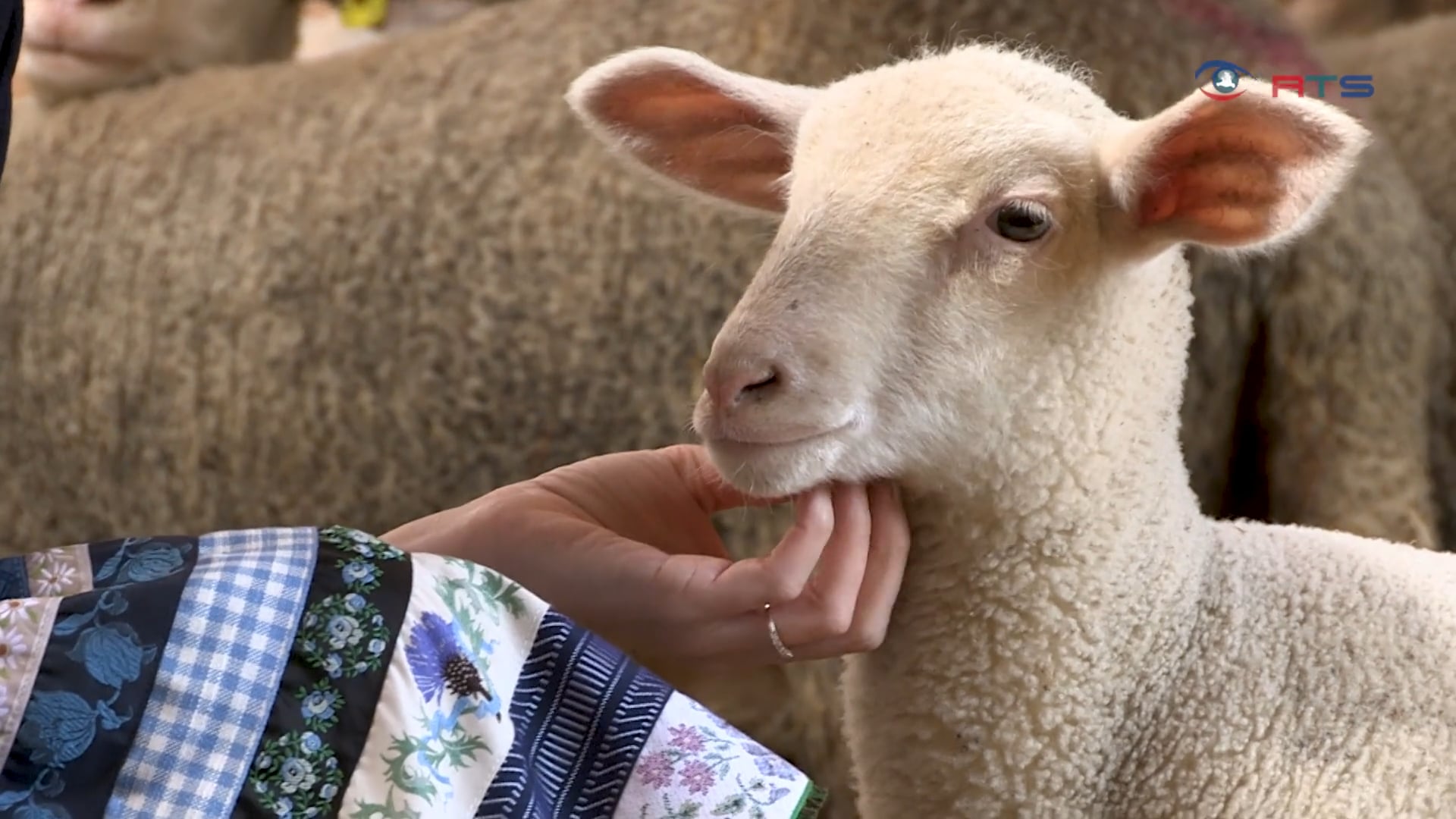 salzburgerland-schmeckt-begruessung-aus-dem-grossarltal