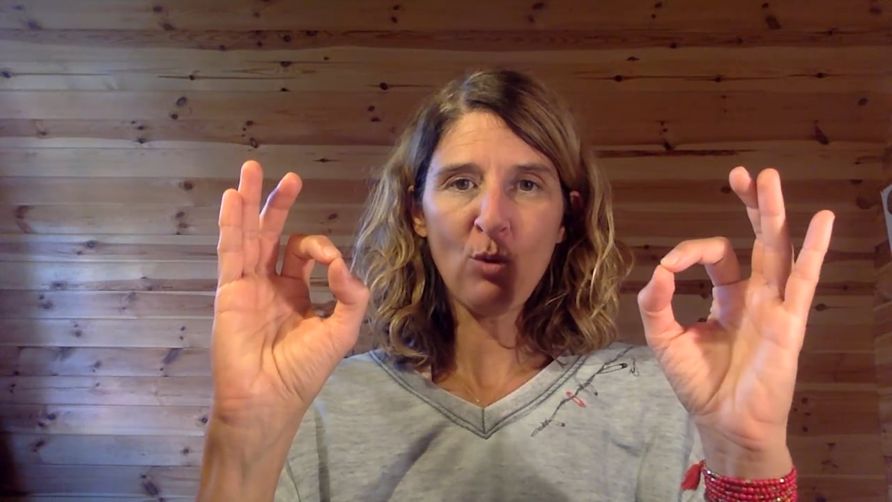 Dharma Chakra Mudra (16 minutes)