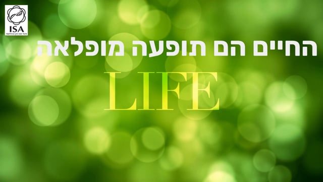 קחו את הבריאות בידיים שלכם