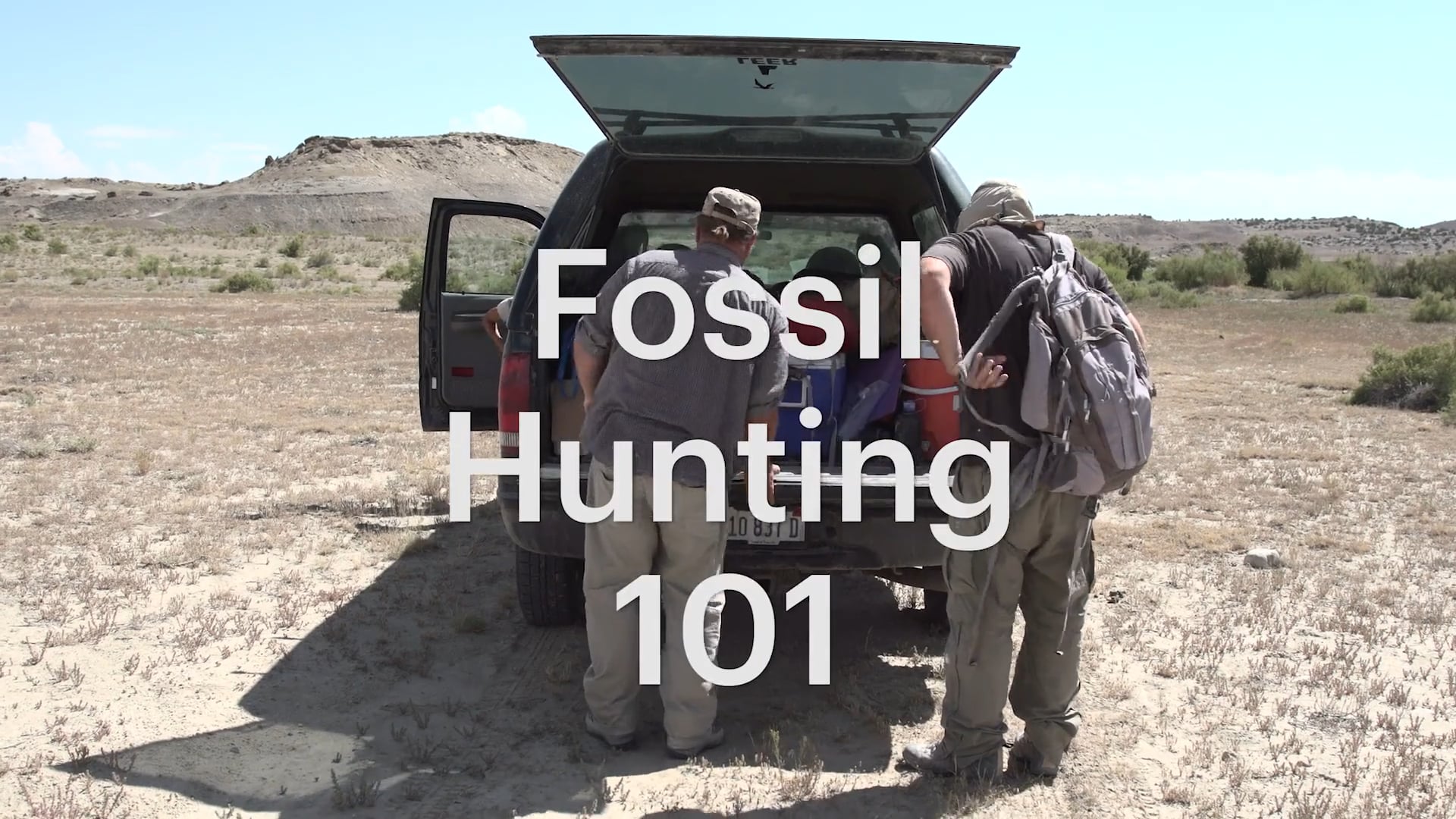 Fossil Hunting 101