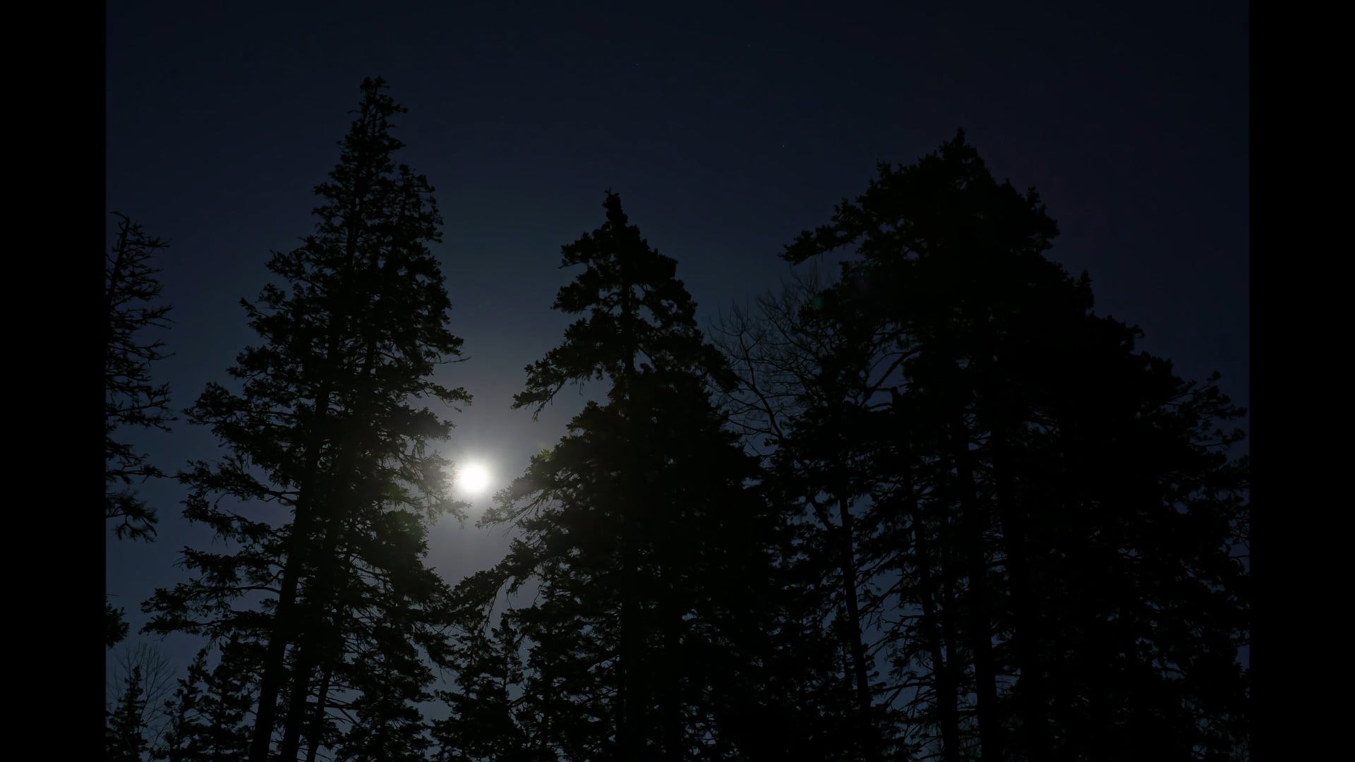 Full Moon