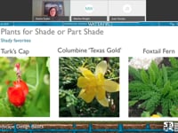 Webinar: Landscape Design Basics