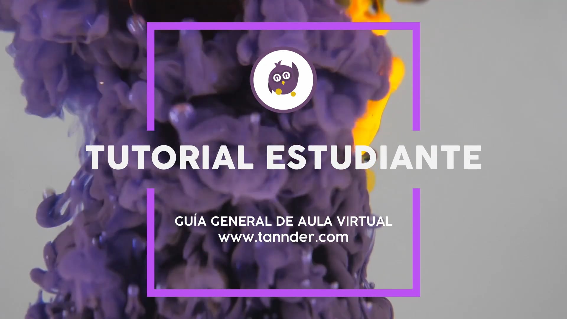 Tutorial Estudiante - Tannder