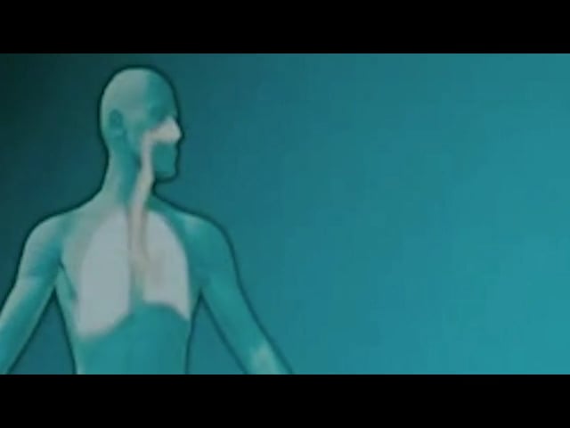 Pandemic Kucha (A PechaKucha on Fernando Meirelles' «The Constant Gardener»)