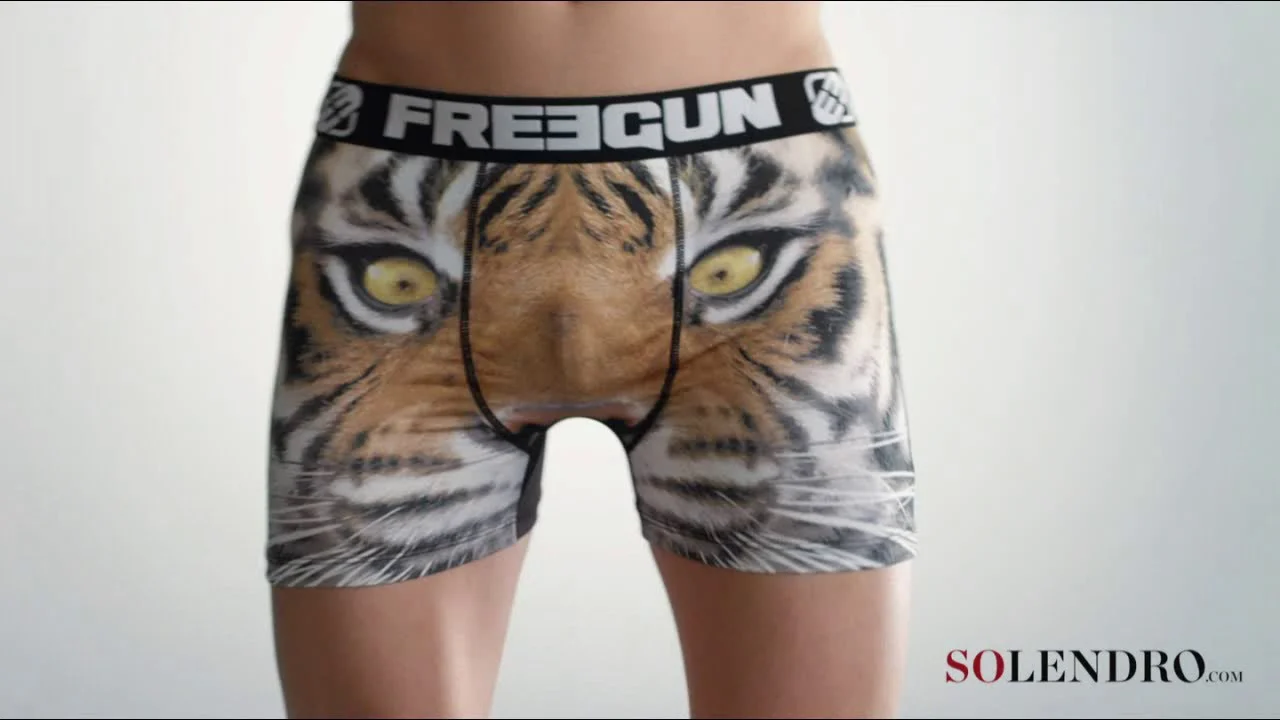 Solendro boxer online