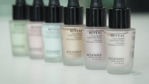 Standing up a new company in four months—on time and within budget