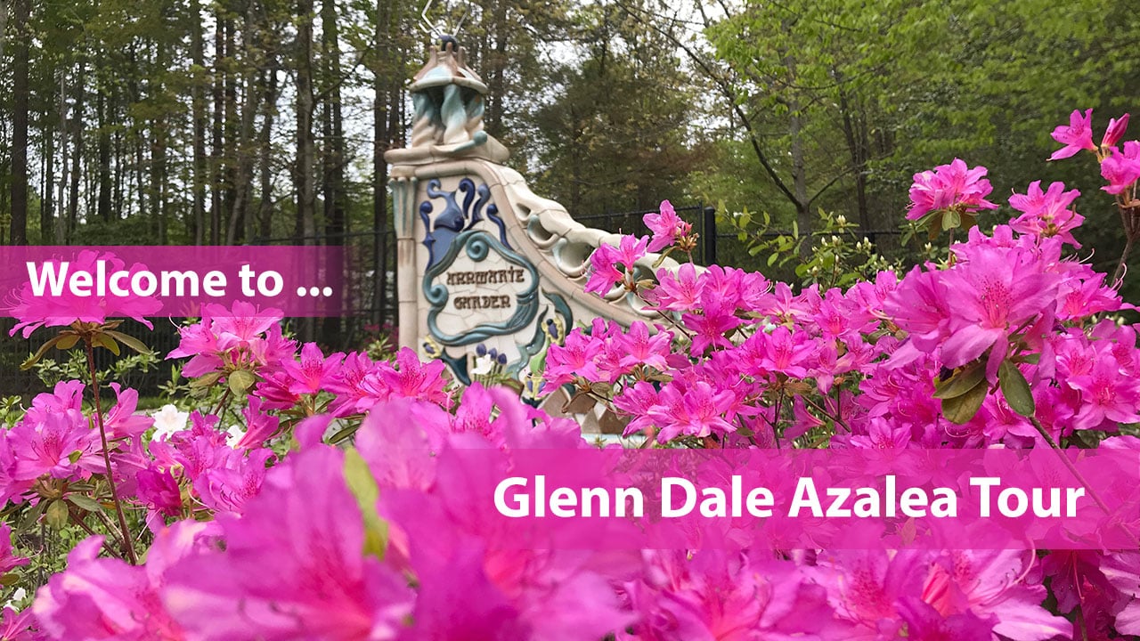 Annmarie Sculpture Garden & Arts Center Glenn Dale Azalea Tour on Vimeo
