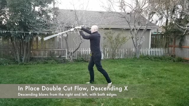 In Place Double Cut Flow, Descending X | LS Solo