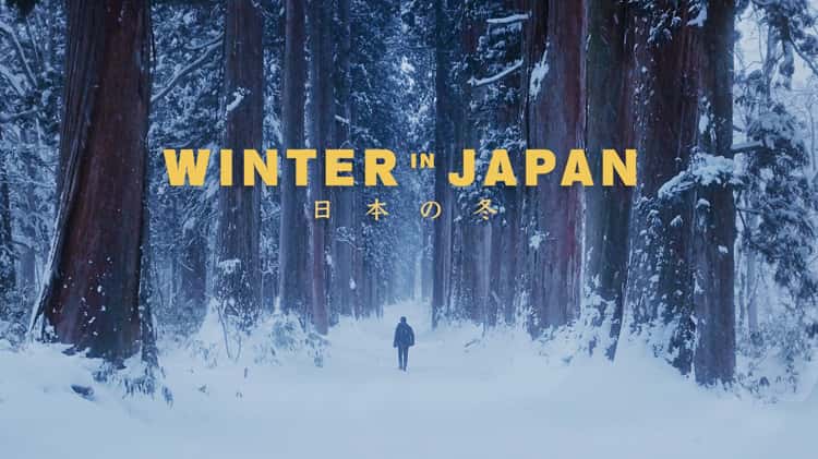 Winter on Vimeo