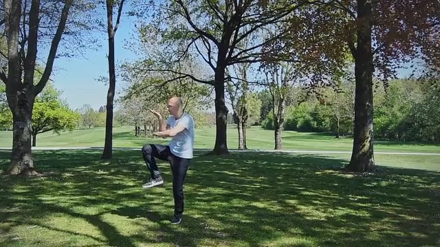 Tai Chi Chuan, Teil 5