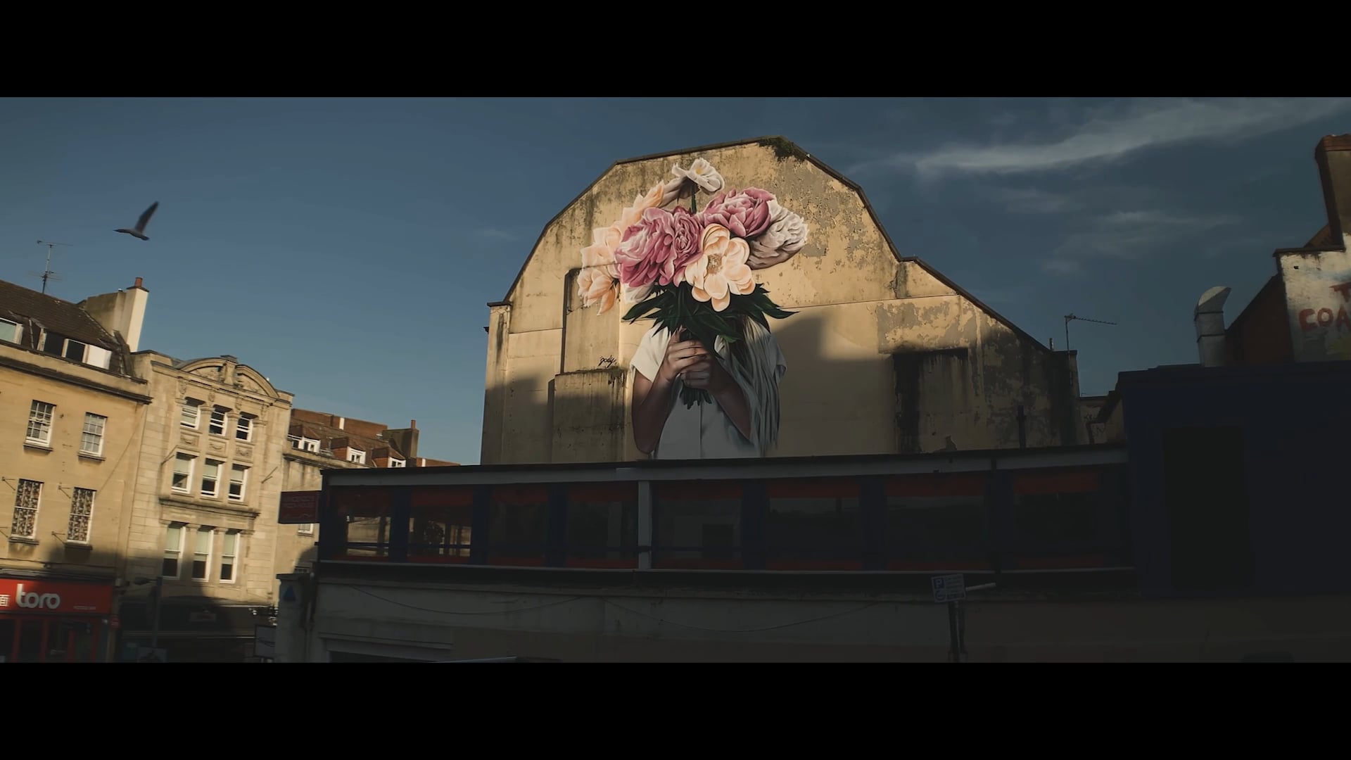 moment anamorphic lens video