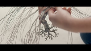 Look Inside - Trailer