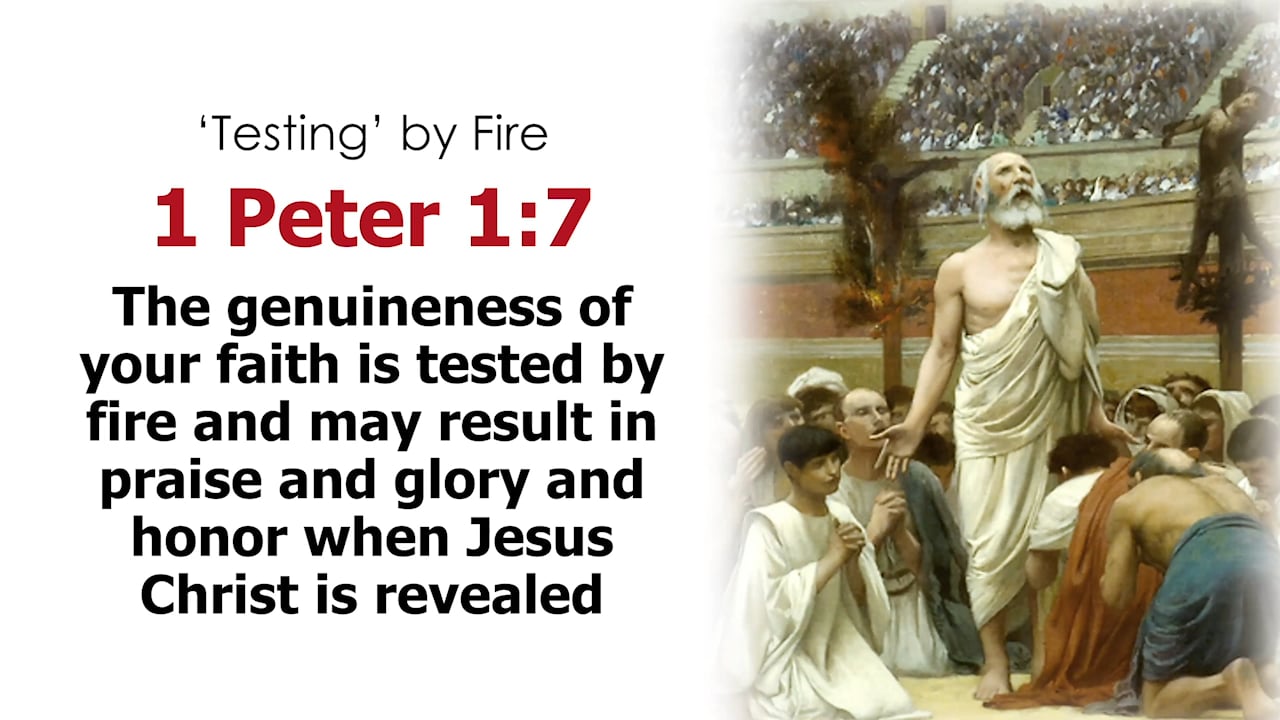 Revelation 15-16 – The Final Seven Plagues