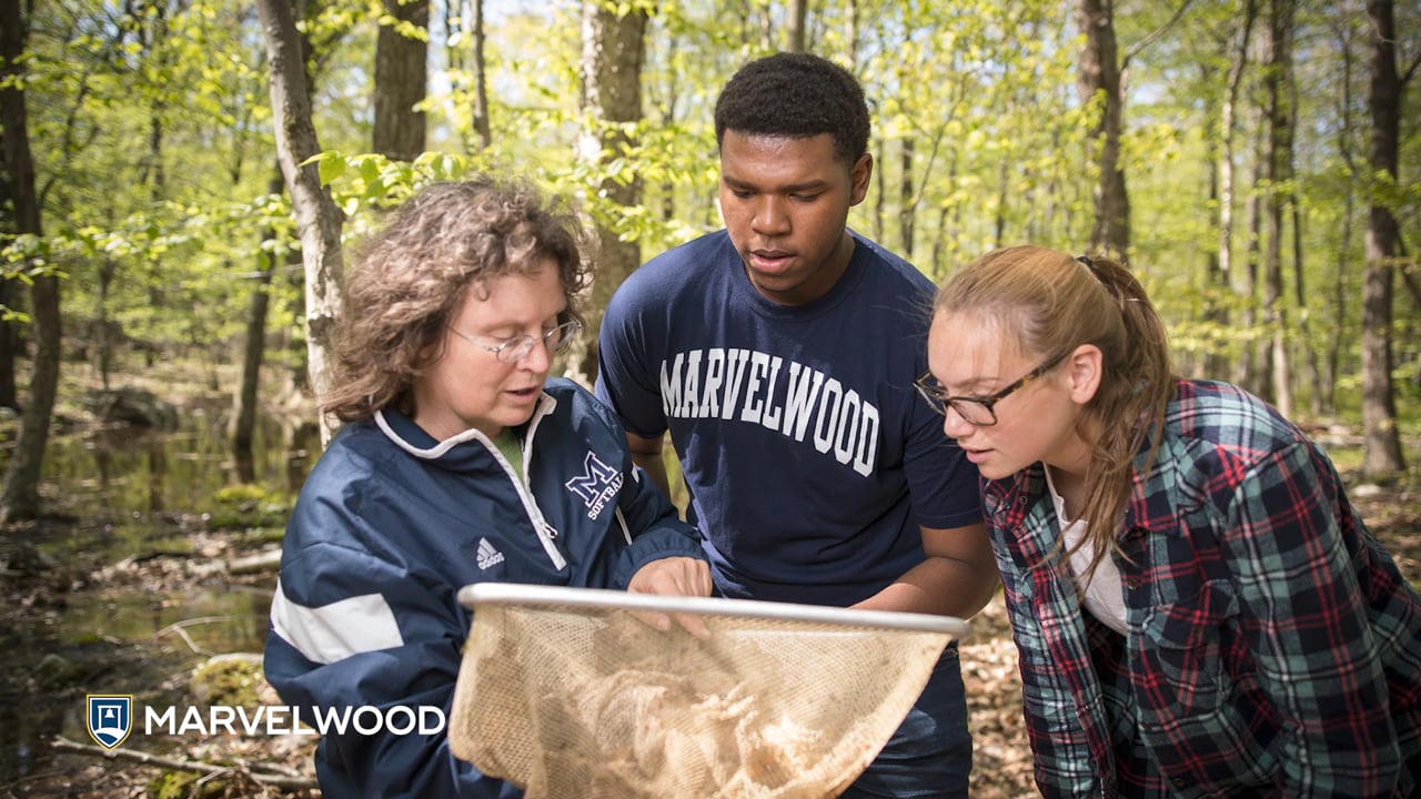 Marvelwood Tour