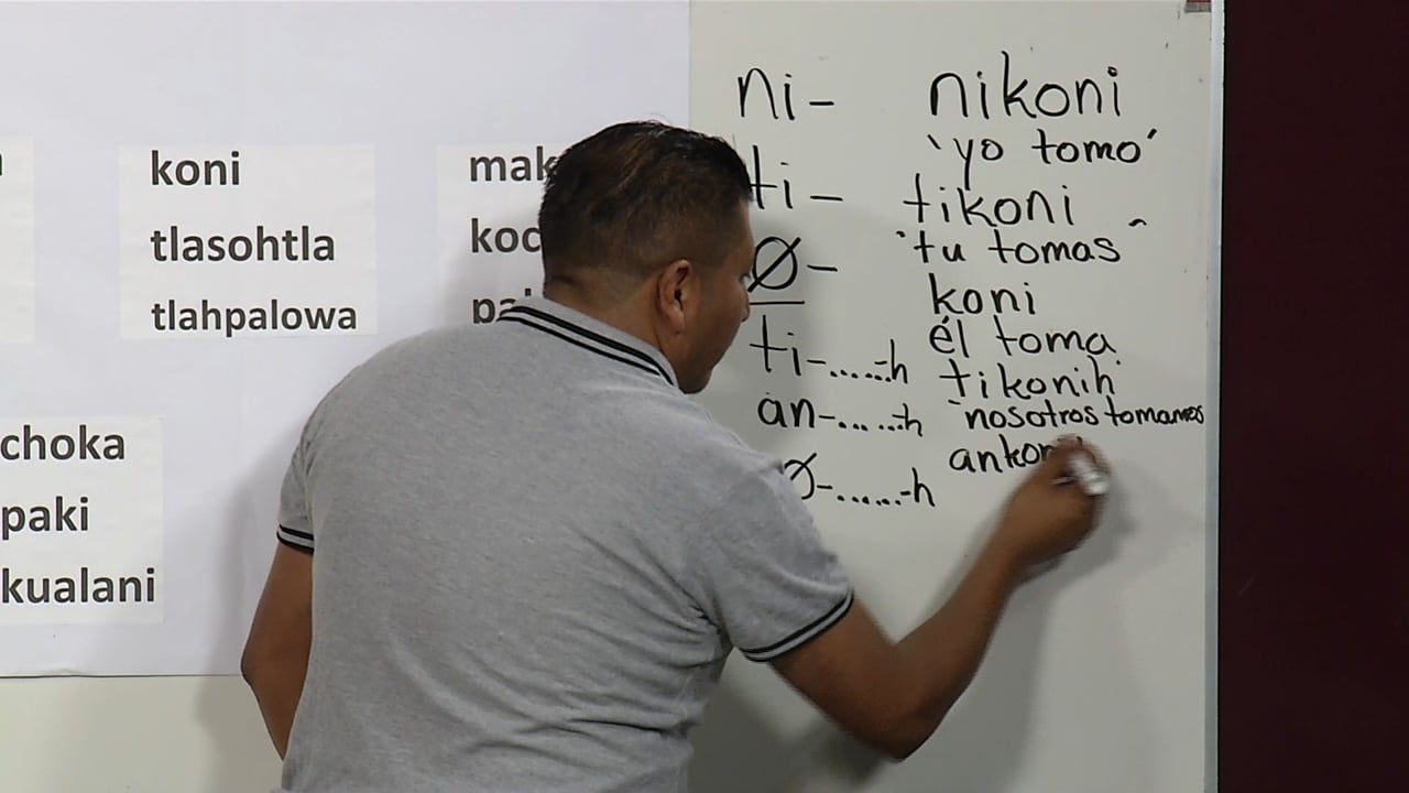 Kawiltneskayotl wan tlachiwalistli