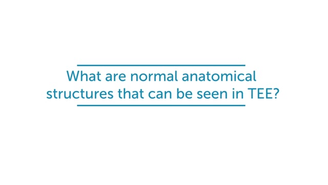 What are normal anatomical structures that can be seen in TEE?