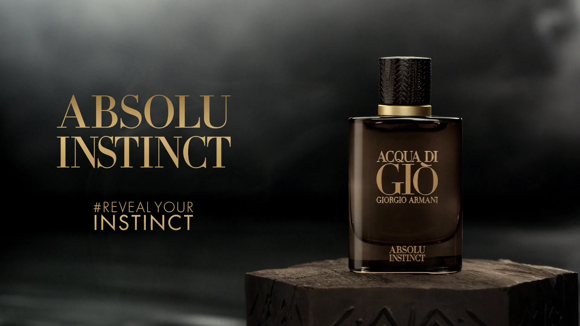 Armani best sale absolu instinct