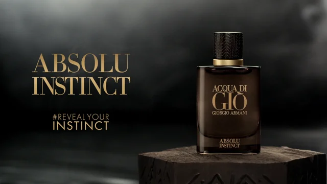 Absolu instinct armani best sale