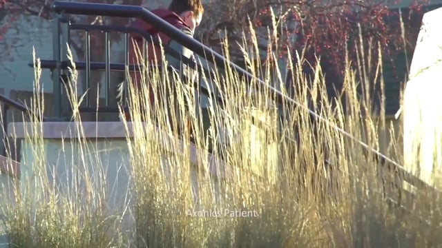 news video image
