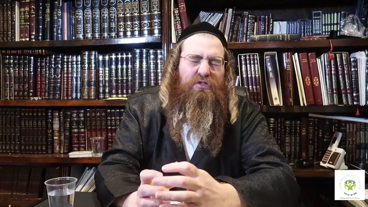 דאקטער און מייז - מיט ר' לייבוש ליש