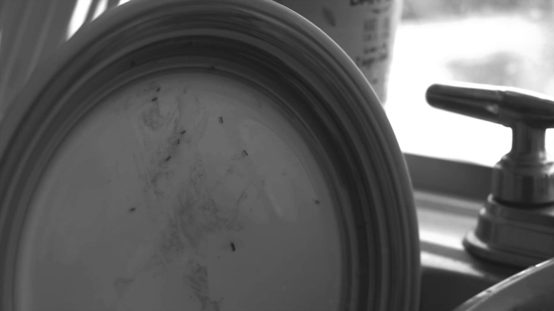 'The Cleaner' - Quarantine Film