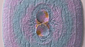 Rundle Mall - Customer Success Story