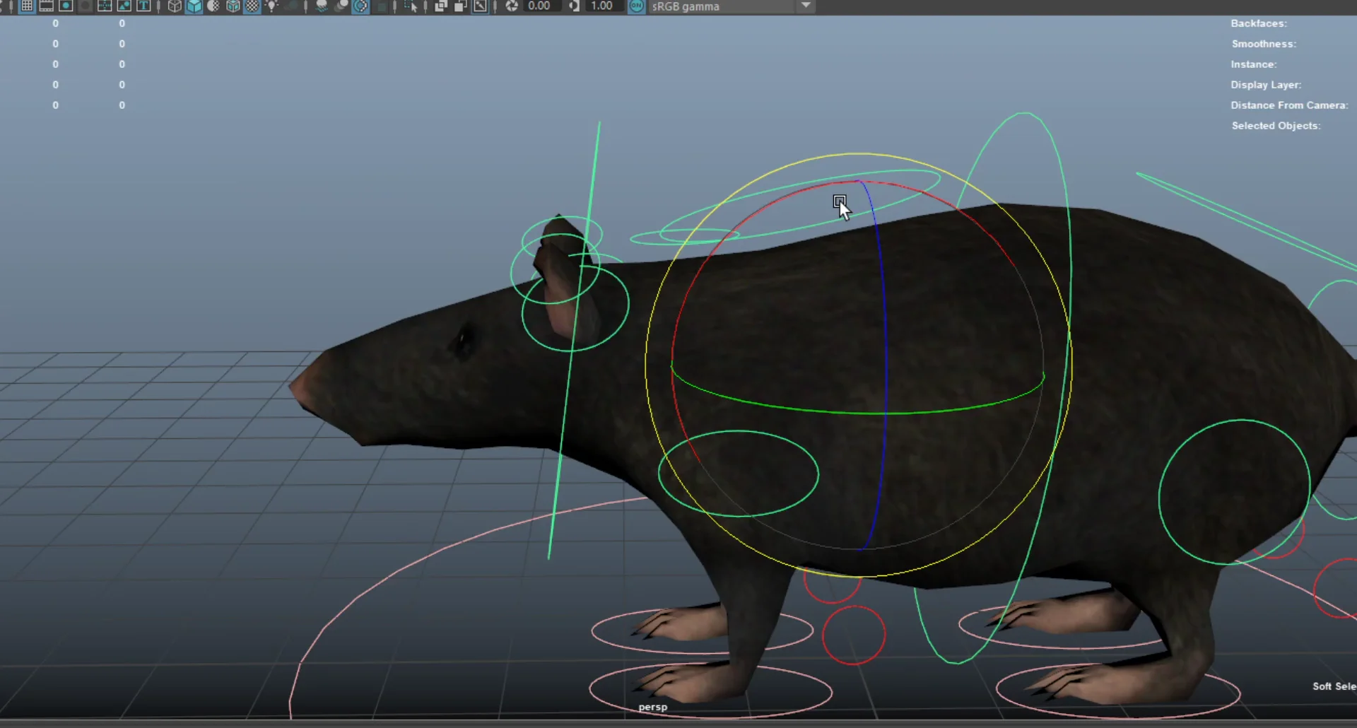 Rat Model Controller Preview