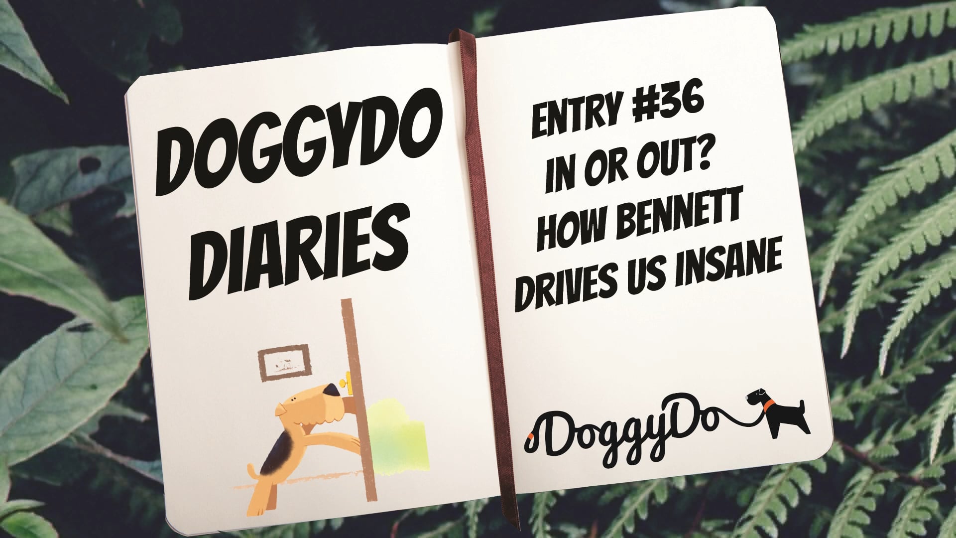 DoggyDo -  Animation Compilation