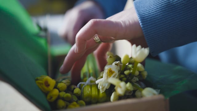 Scilly Flowers - Promo Film