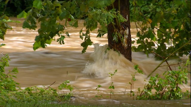 Know Your Flood Risk, Know Your Flood Zone