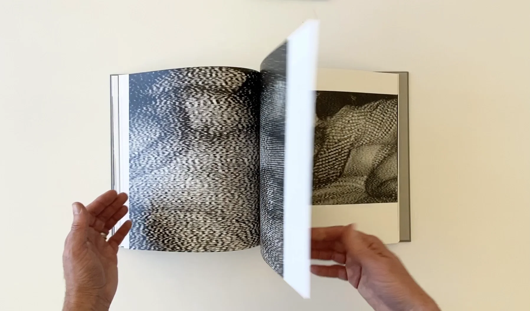 THE PARK by Kohei Yoshiyuki – Familiar Trees