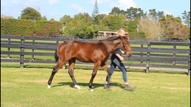 Lot 39