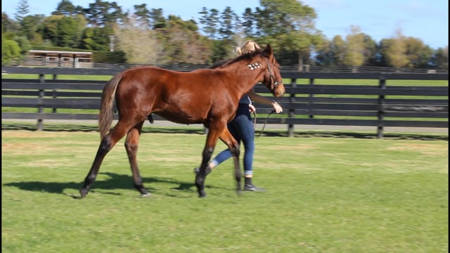 Lot 40