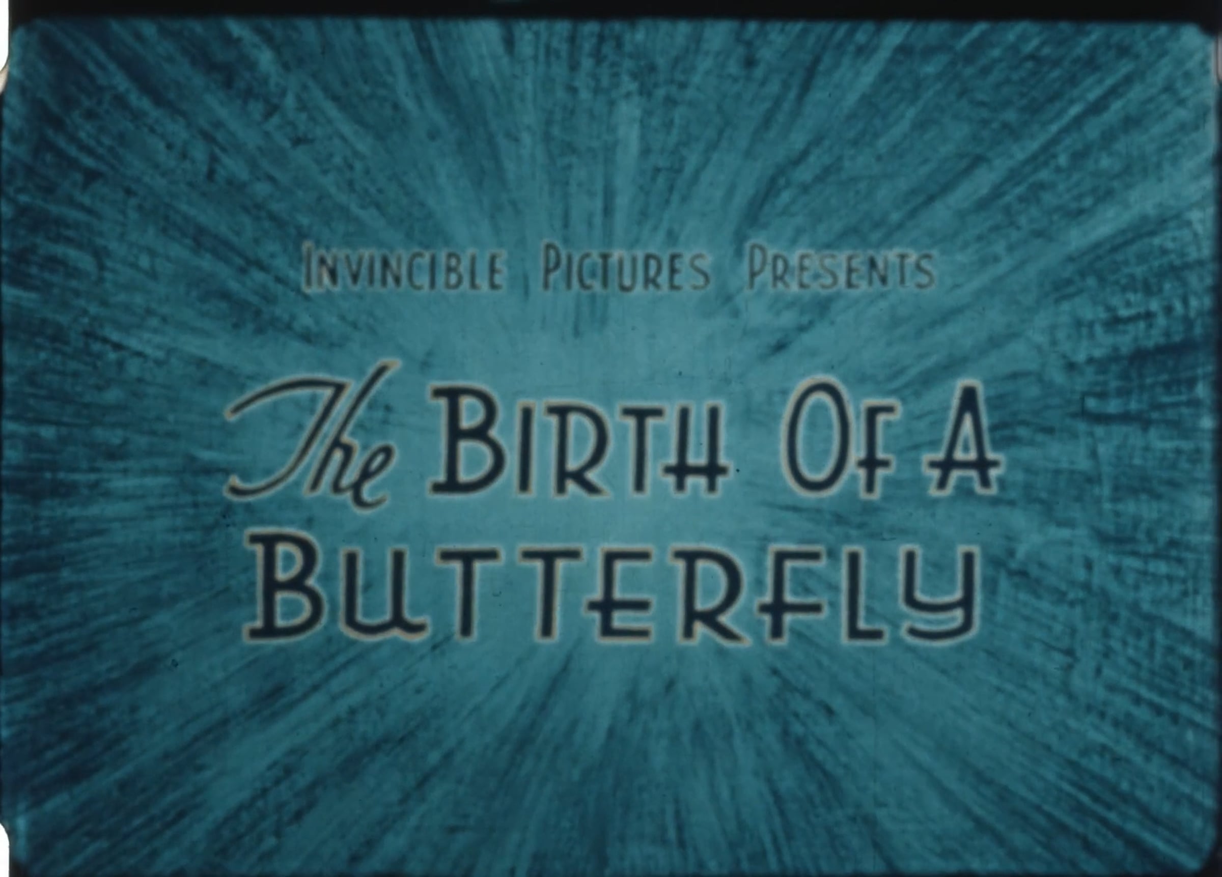 Paul Ruckert Collection: Film 8 - The Birth of a Butterfly | Videos ...