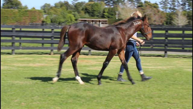 Lot 60