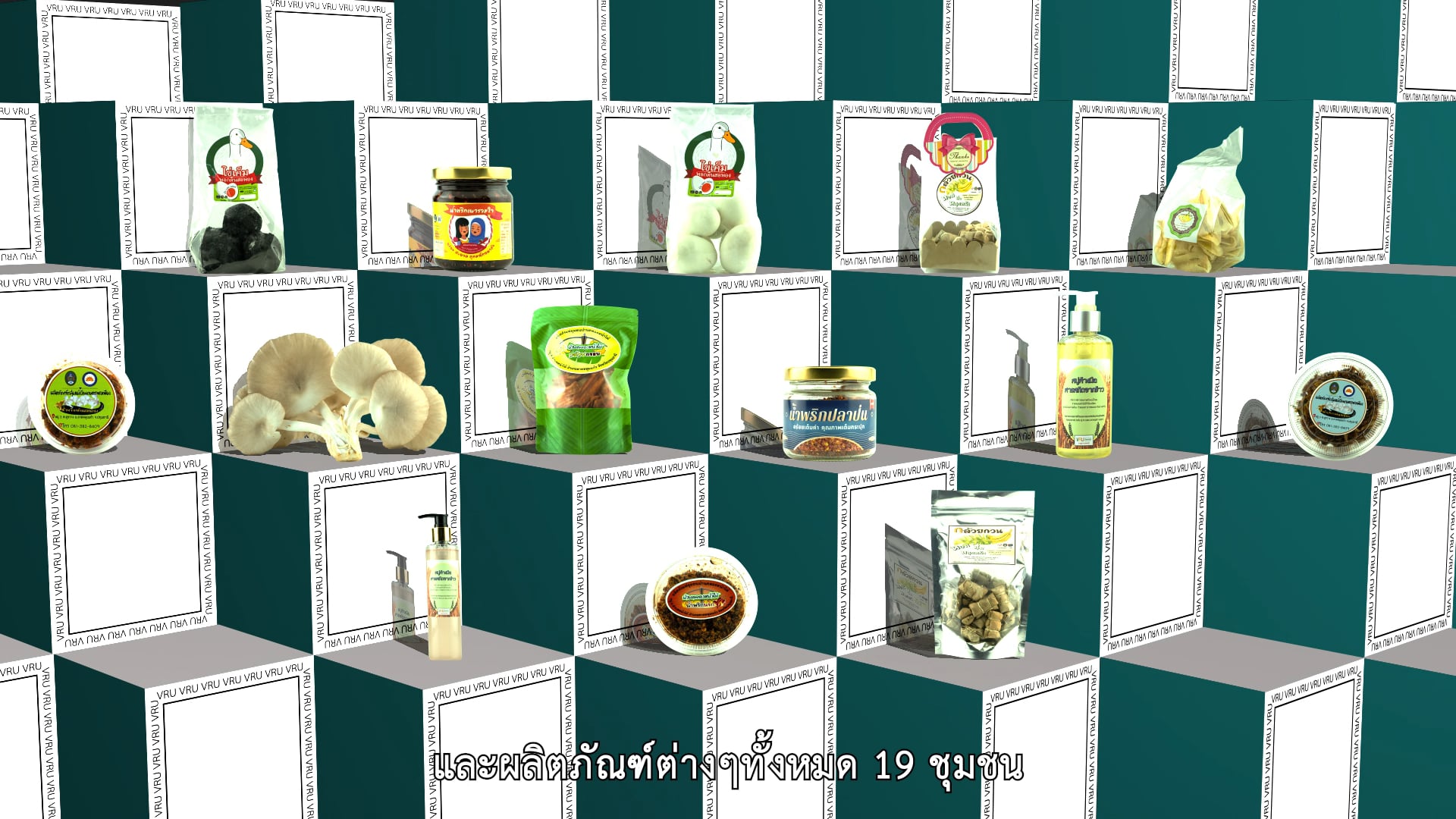 สสร.วไลยอลงกรณ์ ในพระบรมราชูปถัมภ์ clip2