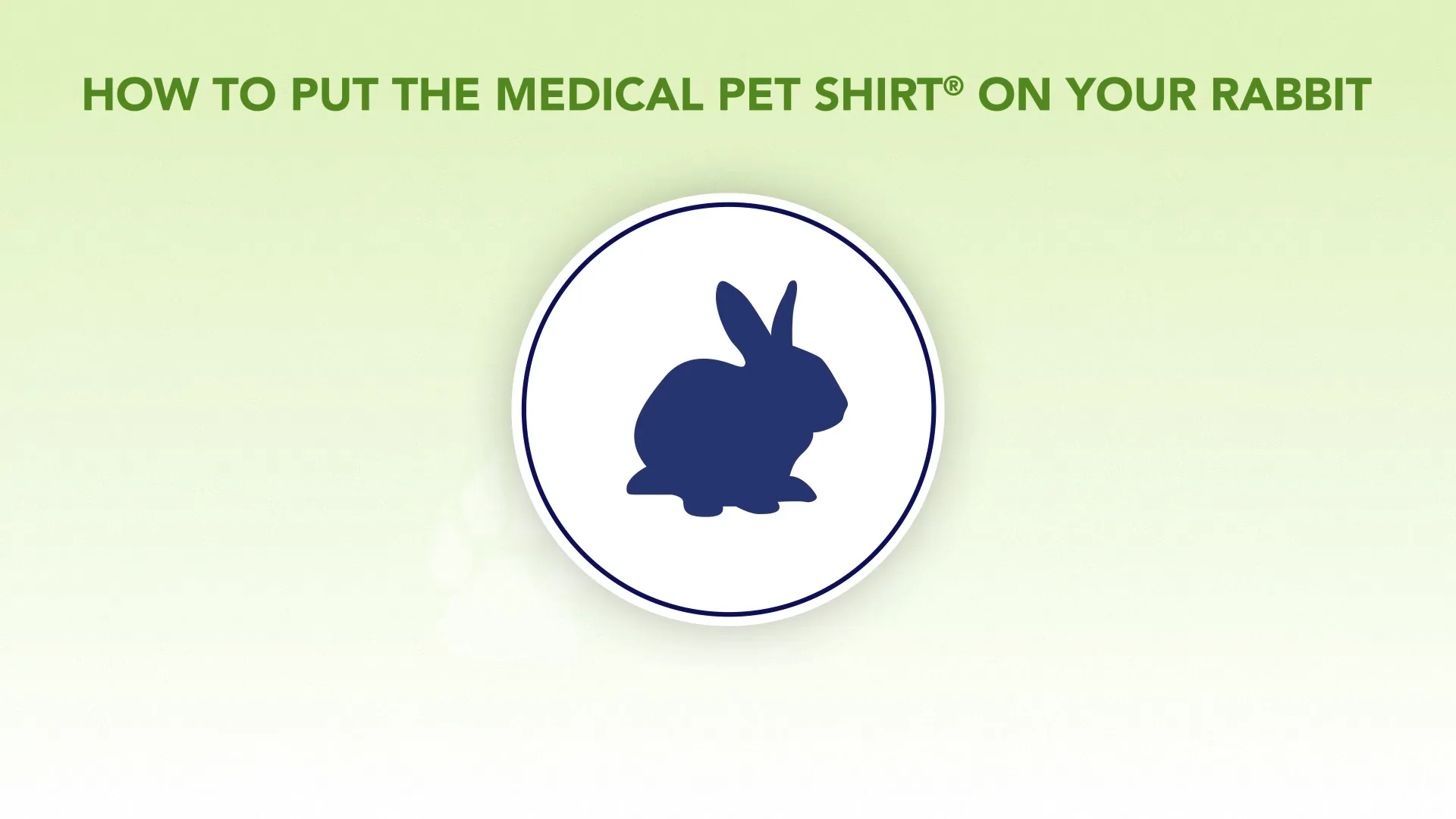 Usage MPS-Medical Pet Shirt® Rabbit - Medical Pet Shirts