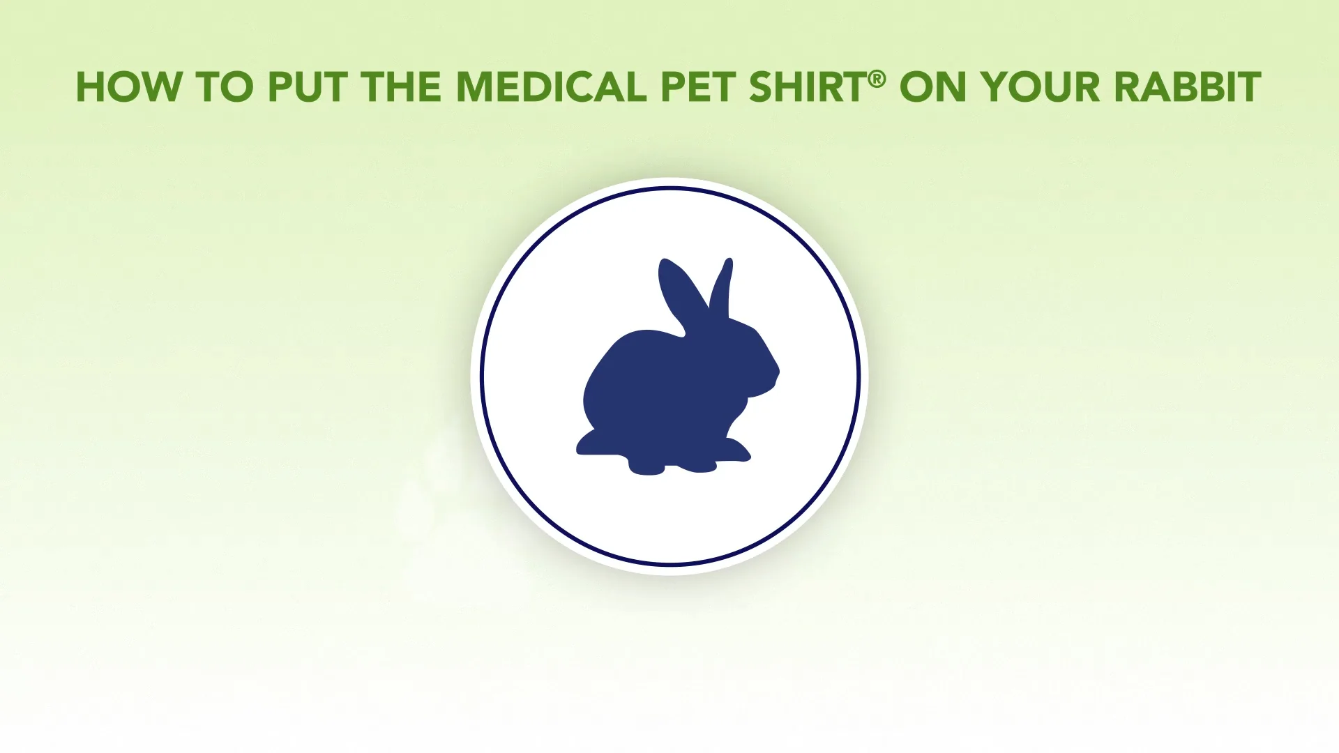 Medical pet hot sale shirt rabbit