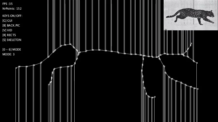 洋書 ANIMALS IN MOTION ANIMALS IN MOTION | VISIOPHONE